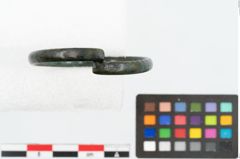 Foto von Bronzeamring (NHMW-PRAE-026238)